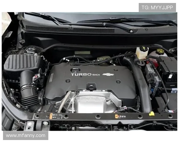 尼罗卡与新德里激战正酣谁能在这场对决中笑到最后